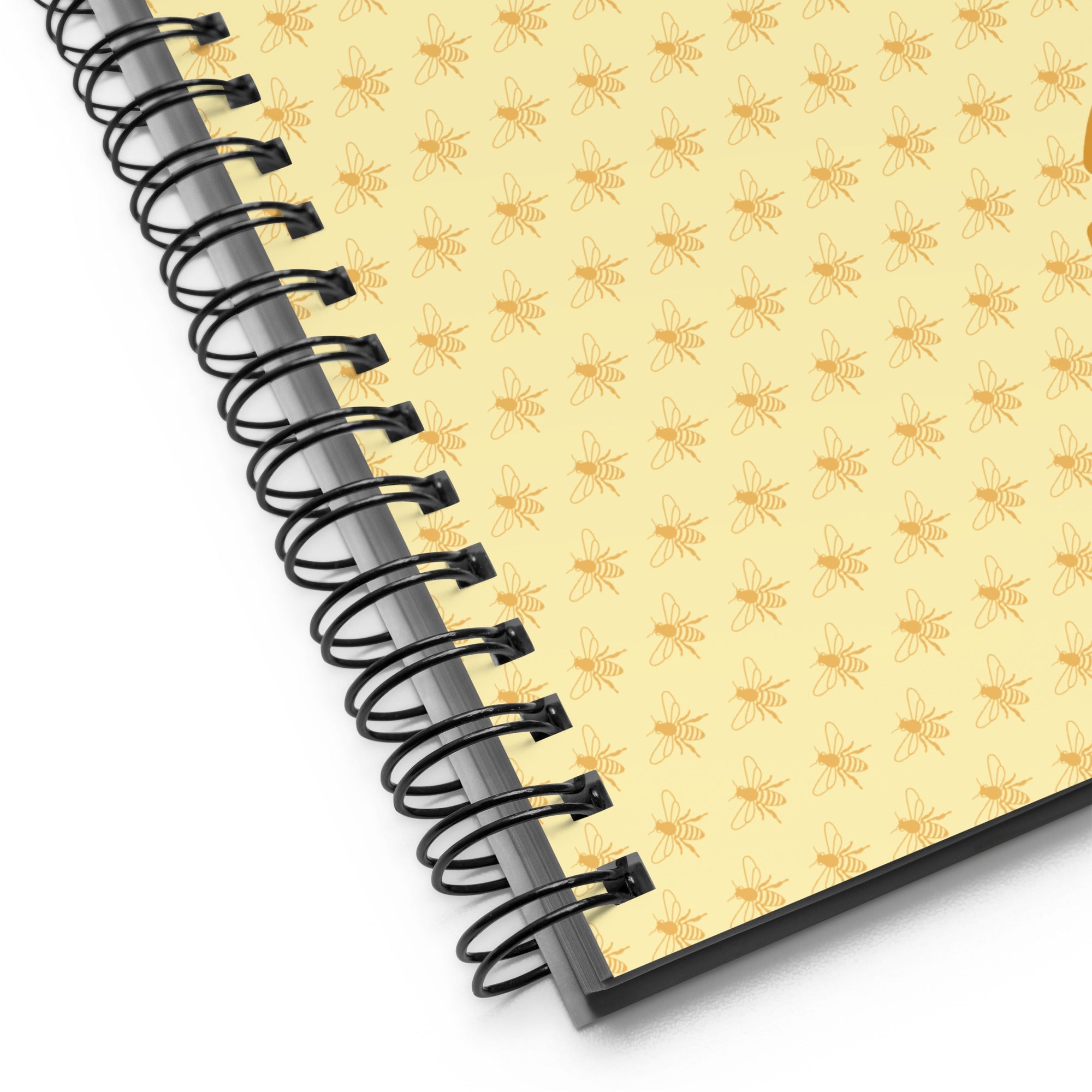 Journals and Notebooks